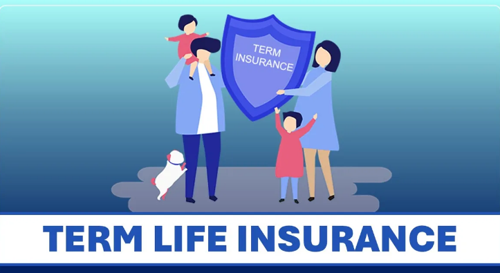 A Comprehensive Guide to Term Life Insurance