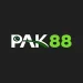 PAK 88 Game icon