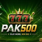 PAK500 Game icon
